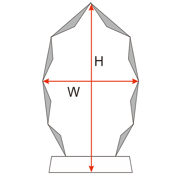 CT06 Crystal Award