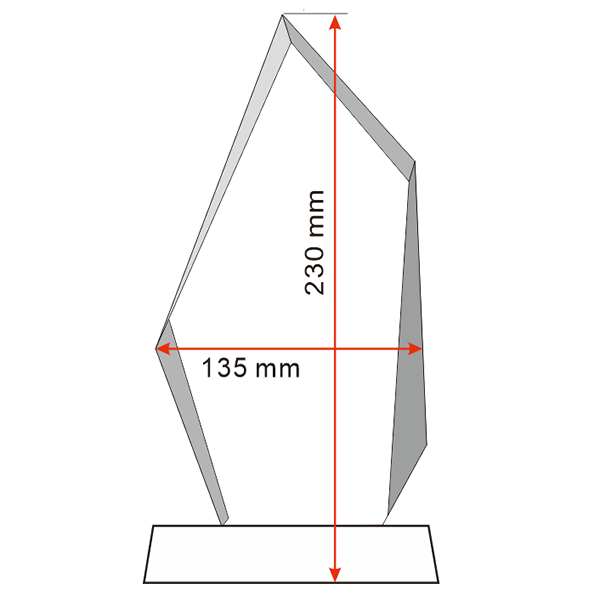 CT07 Crystal Award