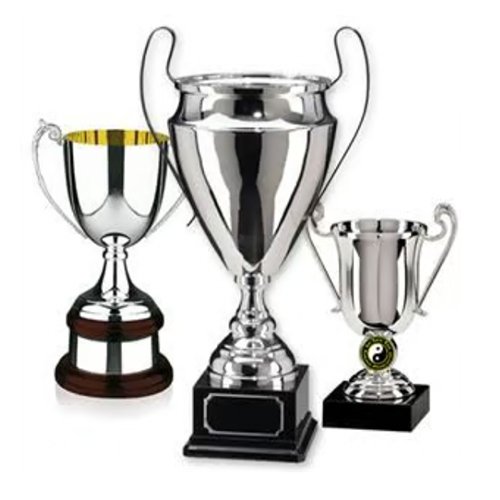 獎盃的種類