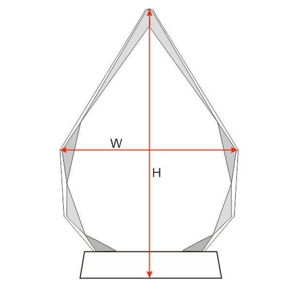 CT11 Crystal Award