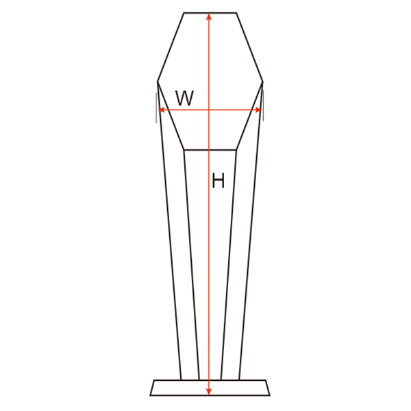 CT18 Crystal Award