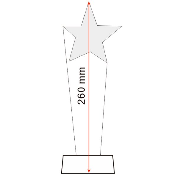 CT19 Crystal Award