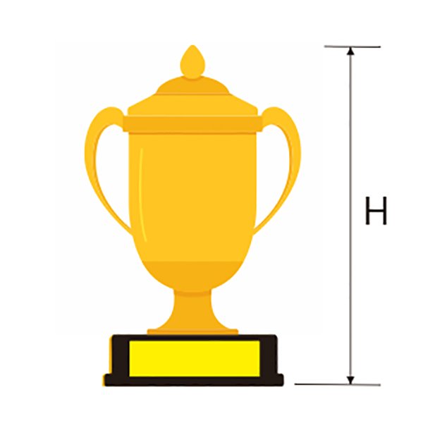 MC08 Trophy Cup